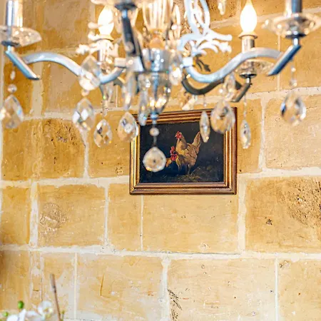 Seagull - Waterfront Birgu