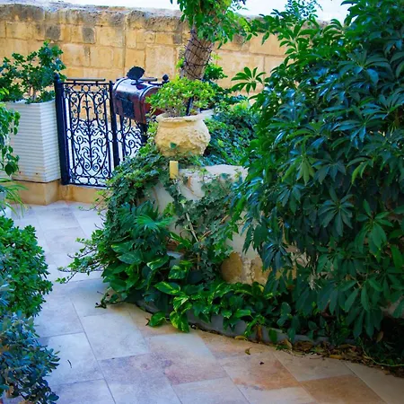 Seagull - Waterfront