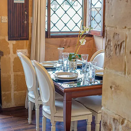 Seagull - Waterfront *