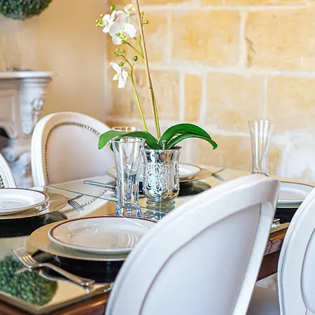 Seagull - Waterfront *