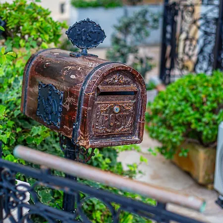 Seagull - Waterfront *