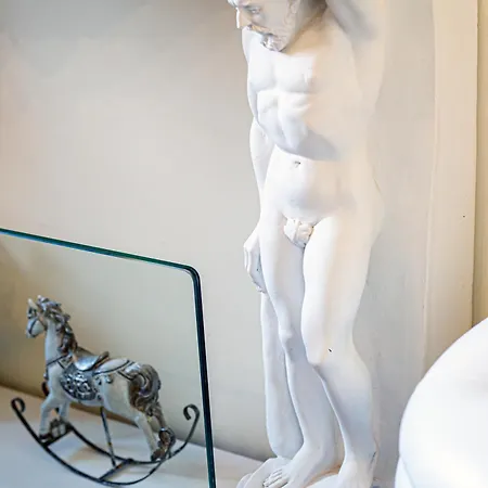 Seagull - Waterfront